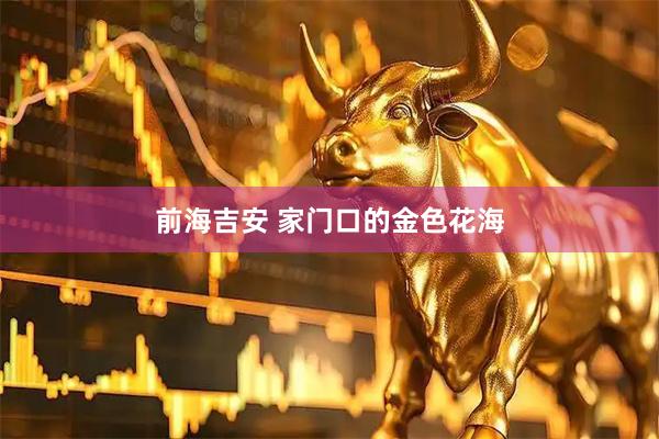 前海吉安 家门口的金色花海
