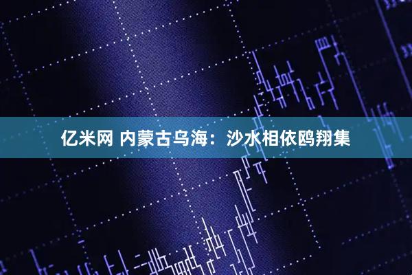 亿米网 内蒙古乌海：沙水相依鸥翔集
