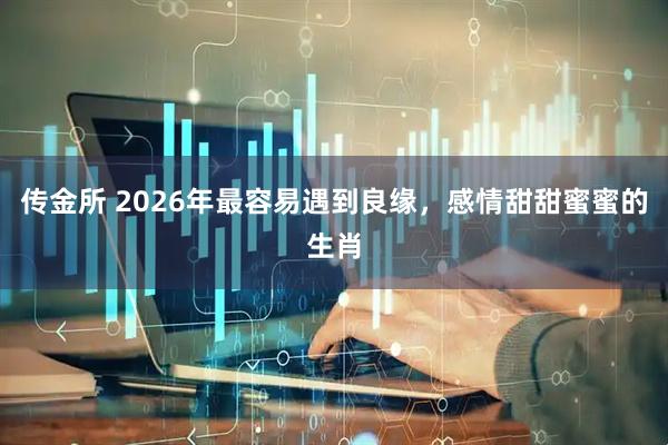 传金所 2026年最容易遇到良缘，感情甜甜蜜蜜的生肖