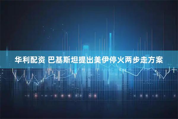 华利配资 巴基斯坦提出美伊停火两步走方案