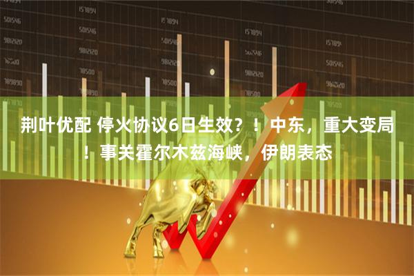 荆叶优配 停火协议6日生效？！中东，重大变局！事关霍尔木兹海峡，伊朗表态
