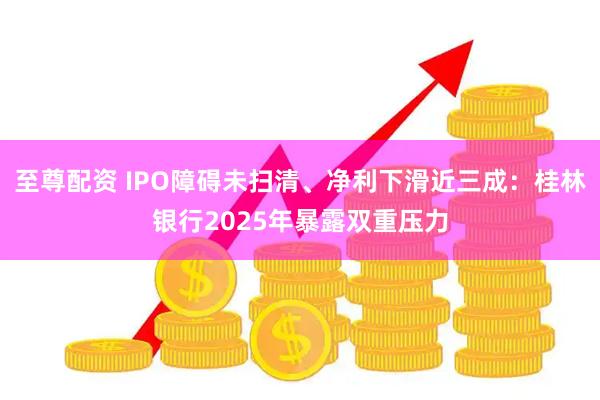 至尊配资 IPO障碍未扫清、净利下滑近三成：桂林银行2025年暴露双重压力