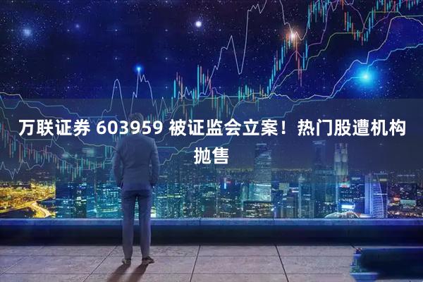 万联证券 603959 被证监会立案！热门股遭机构抛售