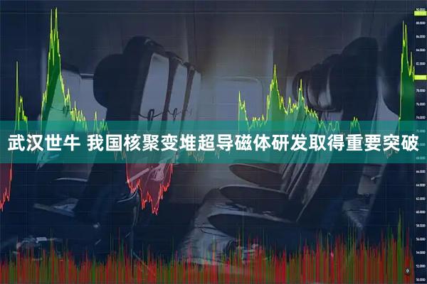 武汉世牛 我国核聚变堆超导磁体研发取得重要突破